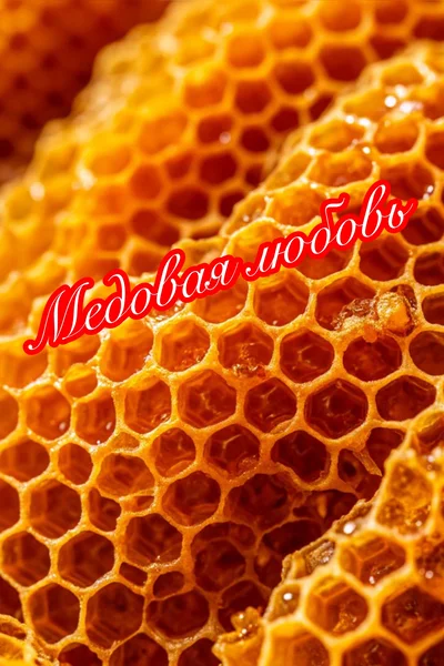 Медовая любовь