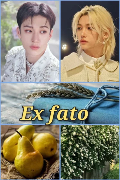 Ex fato