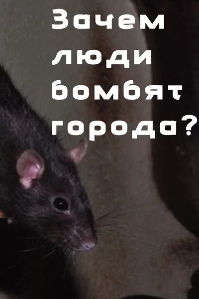 Зачем люди бомбят города?