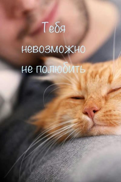 Тебя невозможно не полюбить...
