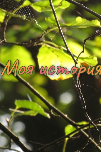 Моя история