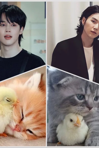 цыпочка и котик