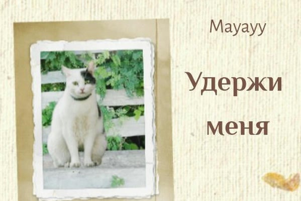 Удержи меня