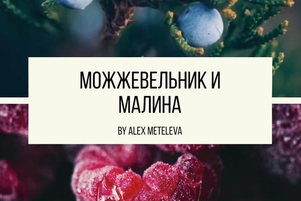 Можжевельник и малина