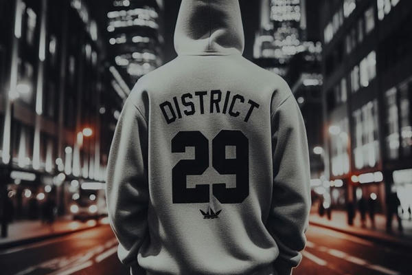 District 29