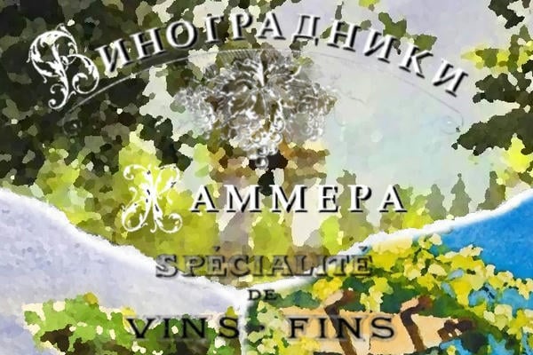 Виноградники Хаммера