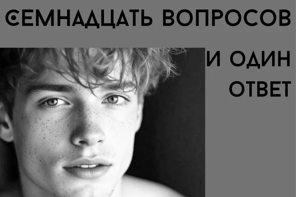 Семнадцать вопросов и один ответ