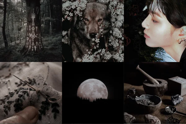 lupine