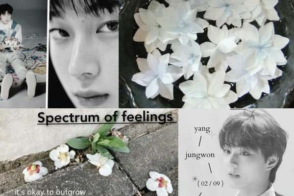 spectrum of feelings