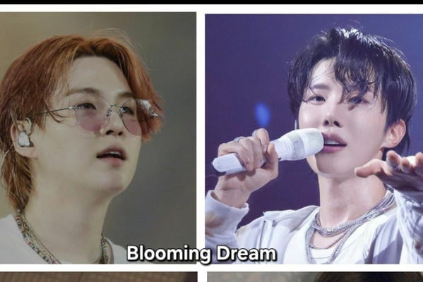 Blooming Dream