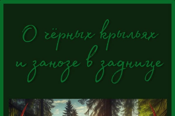 О чёрных крыльях и занозе в заднице