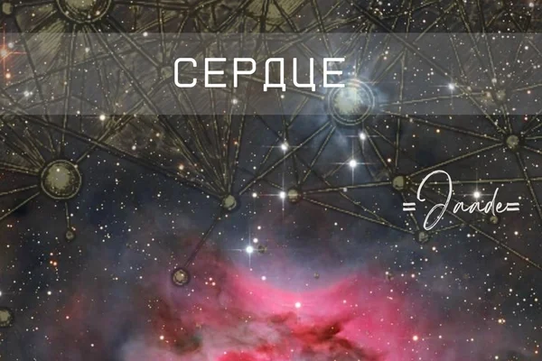 Сердце