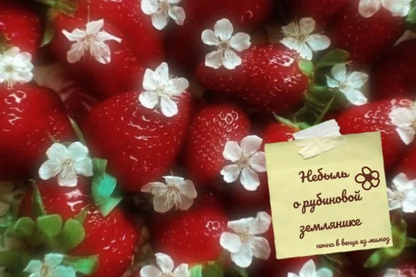 Небыль о рубиновой землянике