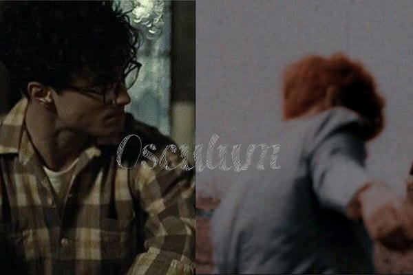 Osculum