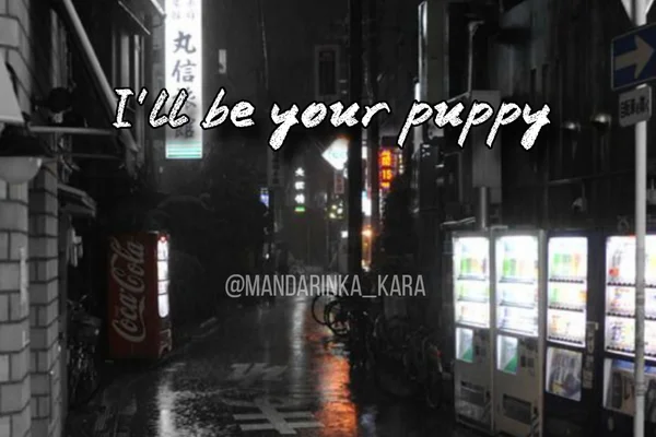 I'll be your puppy
