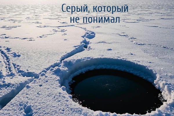 Серый, который не понимал