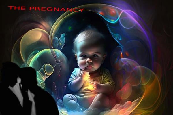 The Pregnancy