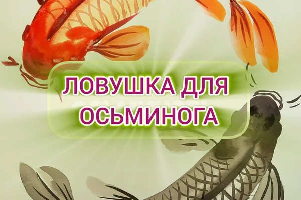 Ловушка для осьминога