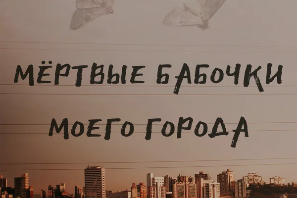 Мёртвые бабочки моего города