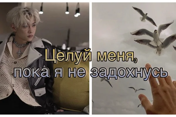 Целуй меня, пока я не задохнусь