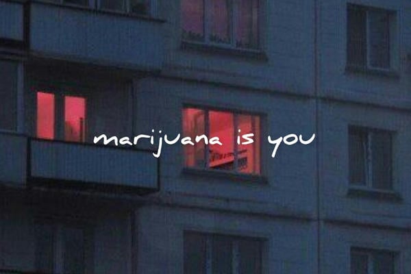 Marijuana is you