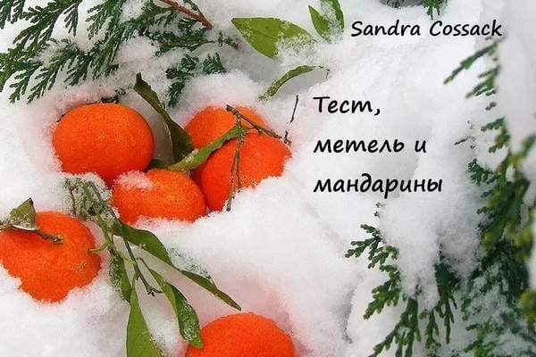 Тест, метель и мандарины