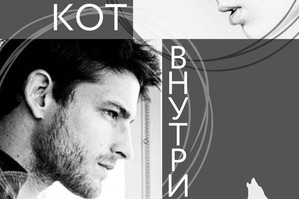 Кот внутри