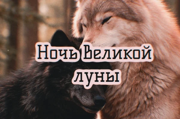 Ночь Великой луны