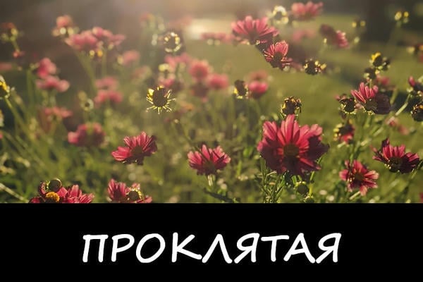 Проклятая