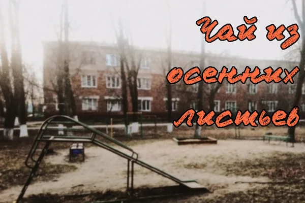 Чай из осенних листьев