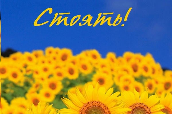 Стоять!