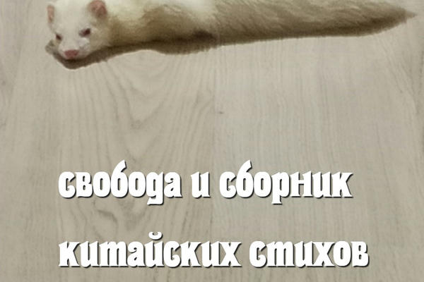 свобода и сборник китайских стихов