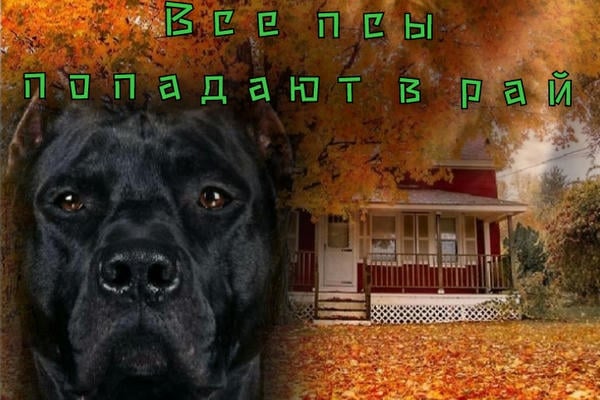 Все псы попадают в рай
