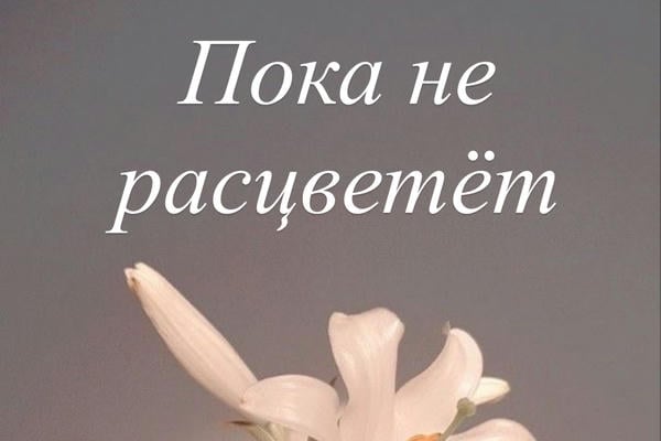 Пока не расцветёт