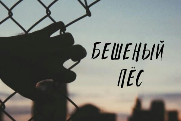 Бешеный Пёс