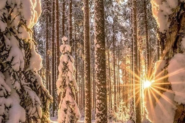 Солнце