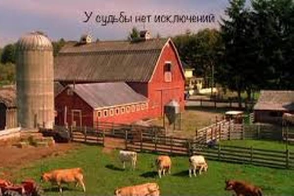 У судьбы нет исключений