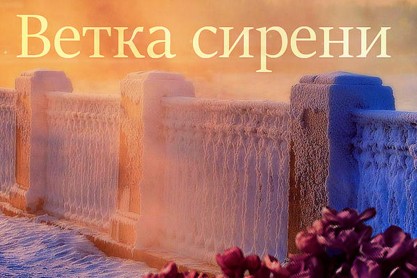 Ветка сирени