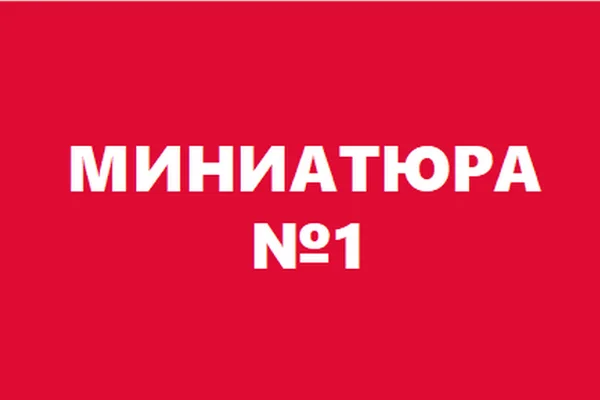 Миниатюра №1