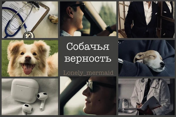 Собачья верность