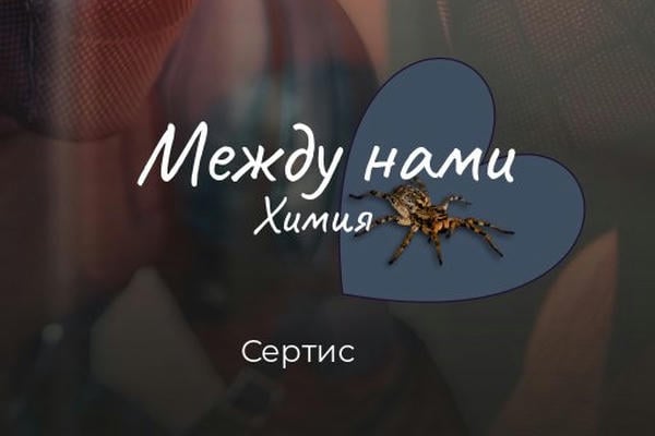 Между нами химия