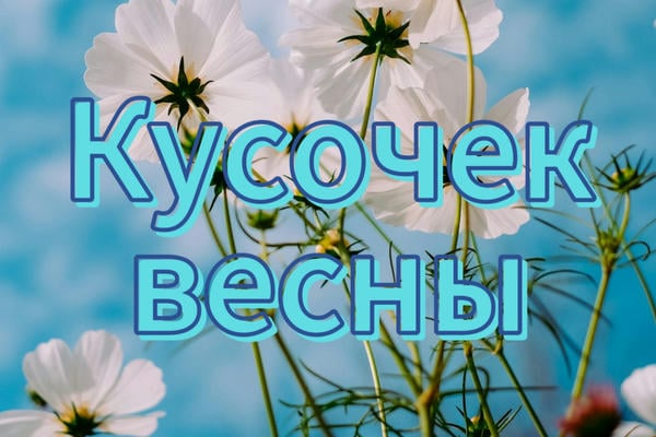 «Кусочек весны»