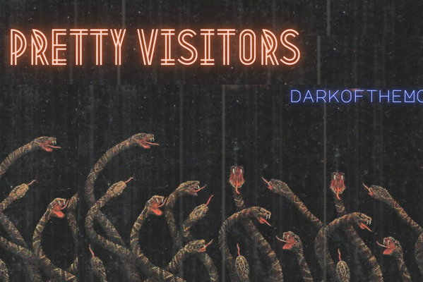 Pretty Visitors