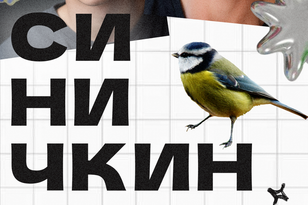 Синичкин