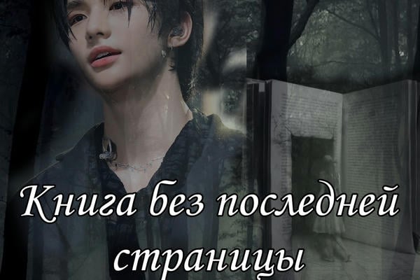 Книга без последней страницы