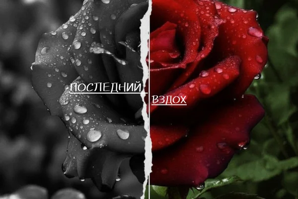 Последний вздох