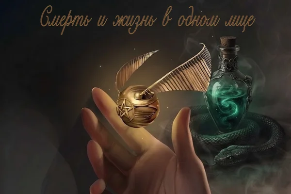 Смерть и жизнь в одном лице