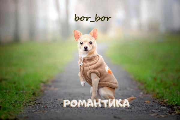 Романтика