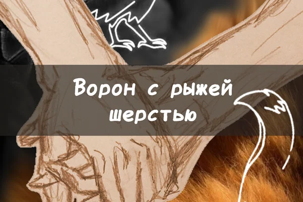 Ворон с рыжей шерстью