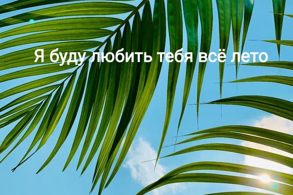 Я буду любить тебя всё лето